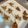 クックJXFLW5☆'s cooksnap of when they made 【おせち】煮干しで！アーモンドの田作り.