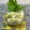 horseland's cooksnap of when they made もうセロリ嫌い何て言わせない♪.