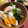 フジぽん's cooksnap of when they made サラダにちょこっとワカメ(*^^)v.