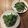 yunapi☆'s cooksnap of when they made 簡単おいしい！こごみの胡麻和え.