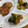 さっちゃーーーん's cooksnap of when they made 三つ葉とちくわの炒め物.