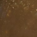 MULA's cooksnap of when they made 簡単♡おいしいカレーライス.
