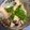 もも☆ピピ's cooksnap of when they made ●材料３つだけ☆サバ缶のおいしい食べ方●.