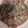 tomo2487's cooksnap of when they made 豚バラとエノキだけのウマウマ炒め～☆.