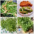 ふくmama✨✨'s cooksnap of when they made ☆豆苗の炒め物☆.