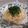ponnko's cooksnap of when they made 超簡単✤和風たらこパスタ.