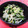 カリーナ's cooksnap of when they made もやしとかいわれ大根の激安サラダ♪♪.
