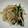 まるちぇんろ's cooksnap of when they made ほうれん草えのきの梅和え.