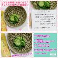 しーくれっと・らいふ's cooksnap of when they made きゅうりの塩もみ生姜風味✽.