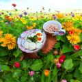 ☆なあなクック☆'s cooksnap of when they made 私がたどり着いた綺麗な茹で卵の作り方.