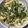 ♬のんのこ日和♬'s cooksnap of when they made 油揚げとブロッコリースプラウトのサラダ.