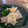 SYNDY's cooksnap of when they made タチウオのレモン蒸し.