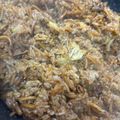 Risaru777's cooksnap of when they made 焼きそばが残ったら！炒めるだけそばめし.