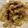 マカロニグリとぐら's cooksnap of when they made ホタルイカの焼きうどん.