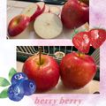 ダッフィーニーうに's cooksnap of when they made ☆栄養逃さないりんごのスターカット☆.