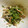 クック5XXY0O☆'s cooksnap of when they made レンジで1分♪豆苗とちくわのマヨポンあえ.