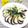 mamaRD's cooksnap of when they made ごま油で簡単おいしい♪なすのカルパッチョ.