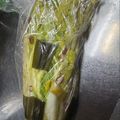 とよくみ's cooksnap of when they made 漬物桶不要！少量から昔ながらの白菜づけ.