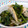 ピンクのたまご's cooksnap of when they made たけのこと菜の花のペペロン風.