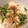 かげやマン's cooksnap of when they made 和食の副菜☆水菜と豆腐のサッと煮.