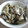 mayurinu's cooksnap of when they made どっさりきのこのねぎ塩丼.