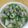 H＆w's cooksnap of when they made ♬とろ～りかぶと豚肉オイスターソース煮♬.