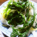 春桜満咲's cooksnap of when they made 旬の味＊菊菜のごま和え.
