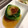 桜乃嬢's cooksnap of when they made 青梗菜の翡翠あん.