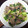 フランク爺's cooksnap of when they made 豚肉と青梗菜のねぎ塩炒め.