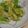 ケンコウママ's cooksnap of when they made キャベツのサッと炒め.