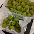 tikariri's cooksnap of when they made ぶどう私の保存方法.