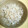 ちろとみ's cooksnap of when they made 釜揚げしらすの大根おろしあえ.