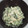 あごじん's cooksnap of when they made ほうれん草の白和え.