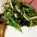yanoko_co's cooksnap of when they made 簡単！旨い！　✿水菜のサラダ✿.