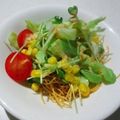 ゆみらんたん's cooksnap of when they made 【長崎サラダ】皿うどんサラダ.