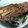 もりちゃー's cooksnap of when they made イワシの蒲焼き丼.