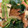 12aloe26's cooksnap of when they made 基本のほうれん草とさつま揚げの煮浸し♪.