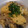 すわゆか's cooksnap of when they made 卵とひき肉と白菜の春雨炒め.