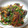 きくんこ's cooksnap of when they made 本格☆青椒肉絲☆.