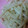 だいちゃん◎＊'s cooksnap of when they made 簡単うま♡やみつき大根.