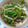 くーたん0715's cooksnap of when they made 菜の花の胡麻マヨネーズ和え.