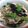 msy0730's cooksnap of when they made しし唐となすと豚肉のさっぱり炒め♪.