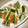 peruru202's cooksnap of when they made ちくわときゅうりの梅シソ巻き.