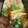 ♡KMS♡'s cooksnap of when they made 甘辛たまらん☆豚チーズ焼き☆お弁当用.
