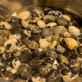 ＊TKC＊'s cooksnap of when they made 簡単！しじみの砂抜き(少量用).