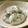 たまこ510's cooksnap of when they made ごま団子.