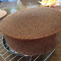 ぴよっぴよっぴよ's cooksnap of when they made ふんわりしっとりココアスポンジケーキ.