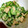 ☆nanaco☆'s cooksnap of when they made ゴーヤのからしツナマヨ和え☆.