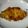 えつエツ's cooksnap of when they made カジキマグロのカレーソテー.