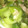 BibittO4's cooksnap of when they made 青梗菜のとろとろ旨み炒め.